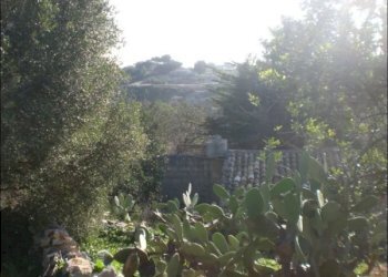 CIMG1828.JPG - Rustico Modica - foto 3