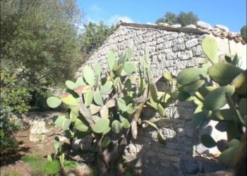 CIMG1831.JPG - Rustico Modica - foto 6