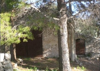 CIMG1832.JPG - Rustico Modica - foto 7