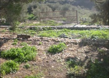 CIMG1833.JPG - Rustico Modica - foto 8