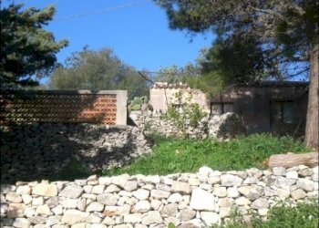 CIMG1835.JPG - Rustico Modica - foto 10