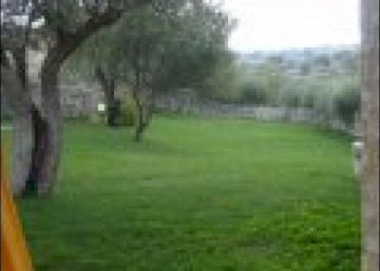 giardino - Rustico Modica - foto 4