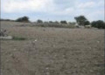 terreno - Rustico Modica - foto 17