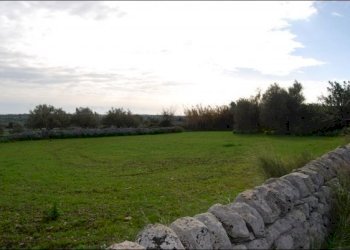 Immagini 006 - Rustico Modica - foto 2