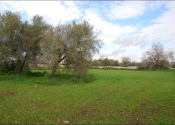 Immagini 005 - Rustico Modica - foto 5