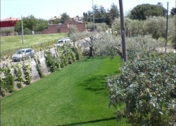 CIMG6511.JPG - Villa SP43 148, Modica - foto 20