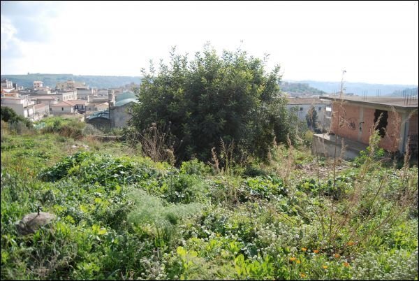 DSC_0803.JPG - Rustico Modica - foto 1