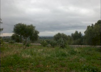 CIMG0522.JPG - Rustico Modica - foto 12