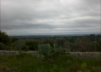 CIMG0526.JPG - Rustico Modica - foto 16