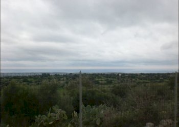 CIMG0527.JPG - Rustico Modica - foto 17