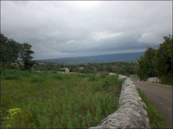 CIMG0534.JPG - Agricultural land Scicli - photo 1