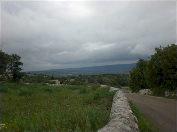 CIMG0535.JPG - Agricultural land Scicli - photo 2