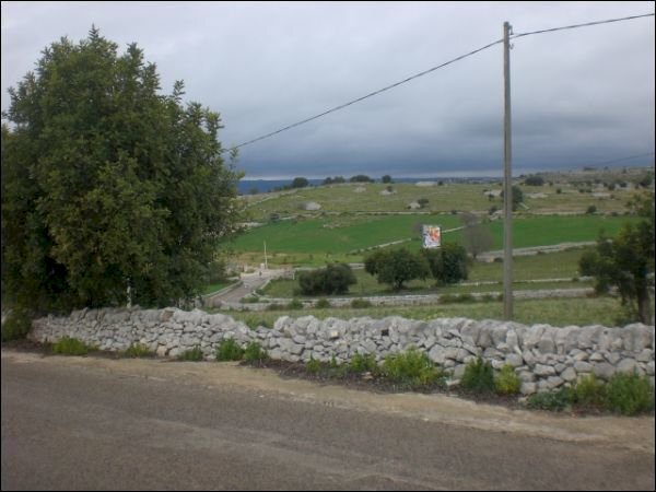 CIMG0536.JPG - Agricultural land Scicli - photo 3