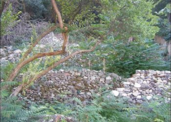 ORTO - Porzione di casa Modica - foto 10