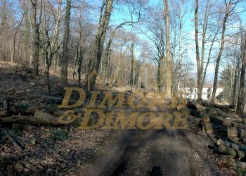 rustico-a-comabbio-vista-lago-21 - Casale Comabbio - foto 4