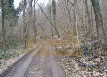 rustico-a-comabbio-vista-lago-16 - Casale Comabbio - foto 11