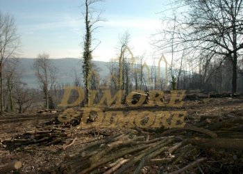 rustico-a-comabbio-vista-lago-22 - Casale Comabbio - foto 17