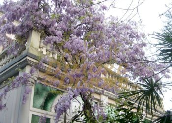 villa-d-epoca-a-luino-con-vista-lago-maggiore-04 - Villa Via Ciro Menotti 3, Luino - foto 21