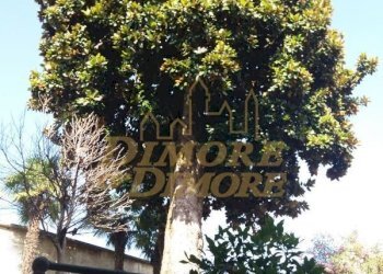 FCC LSLL  15.jpg - Appartamento Verbania - foto 4