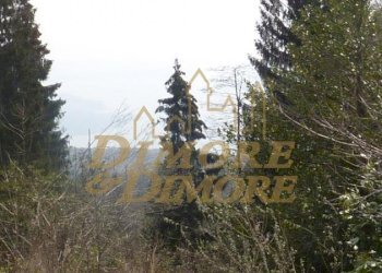 appartamento-a-premeno-con-vista-lago-maggiore-13 - Appartamento Via Pian di Sole  15, Premeno - foto 2