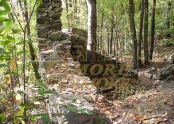 terreno-in-vista-lago-a-miazzina-frazione-alpe-pal - Terreno edificabile via fontana SNC, Miazzina - foto 5