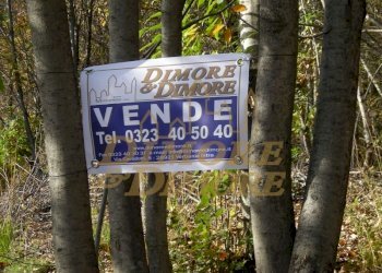 terreno-in-vista-lago-a-miazzina-frazione-alpe-pal - Terreno edificabile via fontana SNC, Miazzina - foto 8