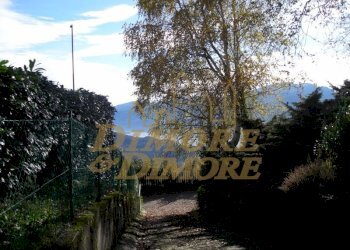 terreno-in-vista-lago-a-miazzina-frazione-alpe-pal - Terreno edificabile via fontana SNC, Miazzina - foto 12