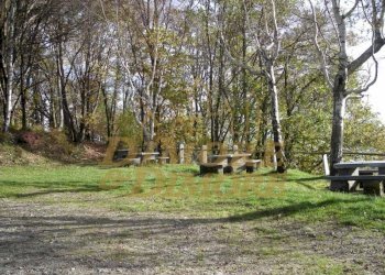 terreno-in-vista-lago-a-miazzina-frazione-alpe-pal - Terreno edificabile via fontana SNC, Miazzina - foto 13