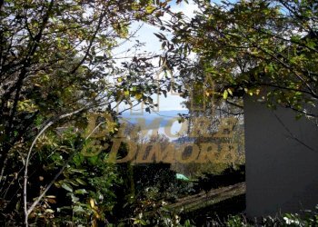 terreno-in-vista-lago-a-miazzina-frazione-alpe-pal - Terreno edificabile via fontana SNC, Miazzina - foto 19