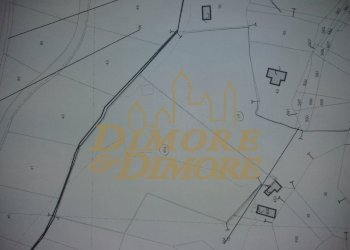 20210616_135425 (1).jpg - Terreno edificabile via fontana SNC, Miazzina - foto 21