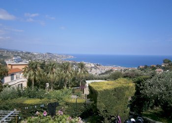 P6140683.JPG - Villa Sanremo - foto 3