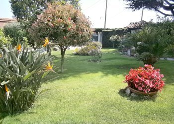 P6140685.JPG - Villa Sanremo - foto 18