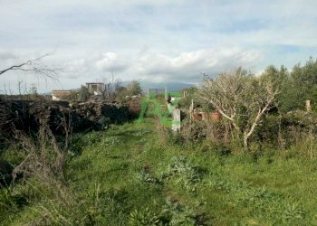 agricolo - Terreno agricolo Tremestieri Etneo - foto 3