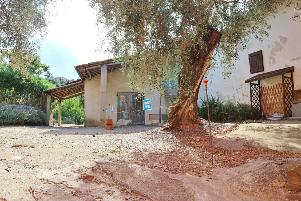 IMG_6636.JPG - Casale Via Ughi 12, Diano San Pietro - foto 3