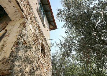 IMG_6677.JPG - Casale Via Ughi 12, Diano San Pietro - foto 2