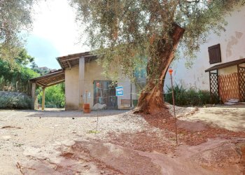 IMG_6636.JPG - Casale Via Ughi 12, Diano San Pietro - foto 3