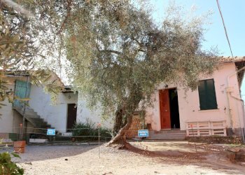 IMG_6637.JPG - Casale Via Ughi 12, Diano San Pietro - foto 4