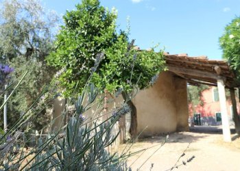 IMG_6645.JPG - Casale Via Ughi 12, Diano San Pietro - foto 7