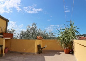 IMG_6655.JPG - Casale Via Ughi 12, Diano San Pietro - foto 10