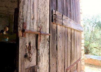 IMG_6685.JPG - Casale Via Ughi 12, Diano San Pietro - foto 16