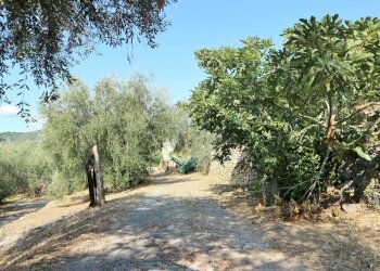 IMG_6692.JPG - Casale Via Ughi 12, Diano San Pietro - foto 19