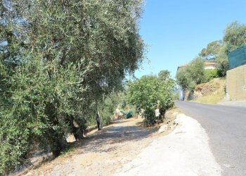 IMG_6693.JPG - Casale Via Ughi 12, Diano San Pietro - foto 20