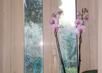 IMG_20200109_112931.jpg - Villa Via Umberto I 5, Terni - foto 12