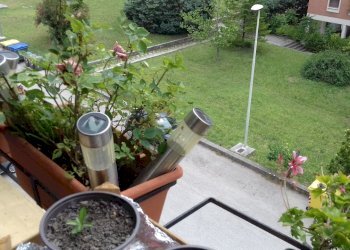 20190622_103315.jpg - Appartamento Via dell'Abete 2, Terni - foto 11