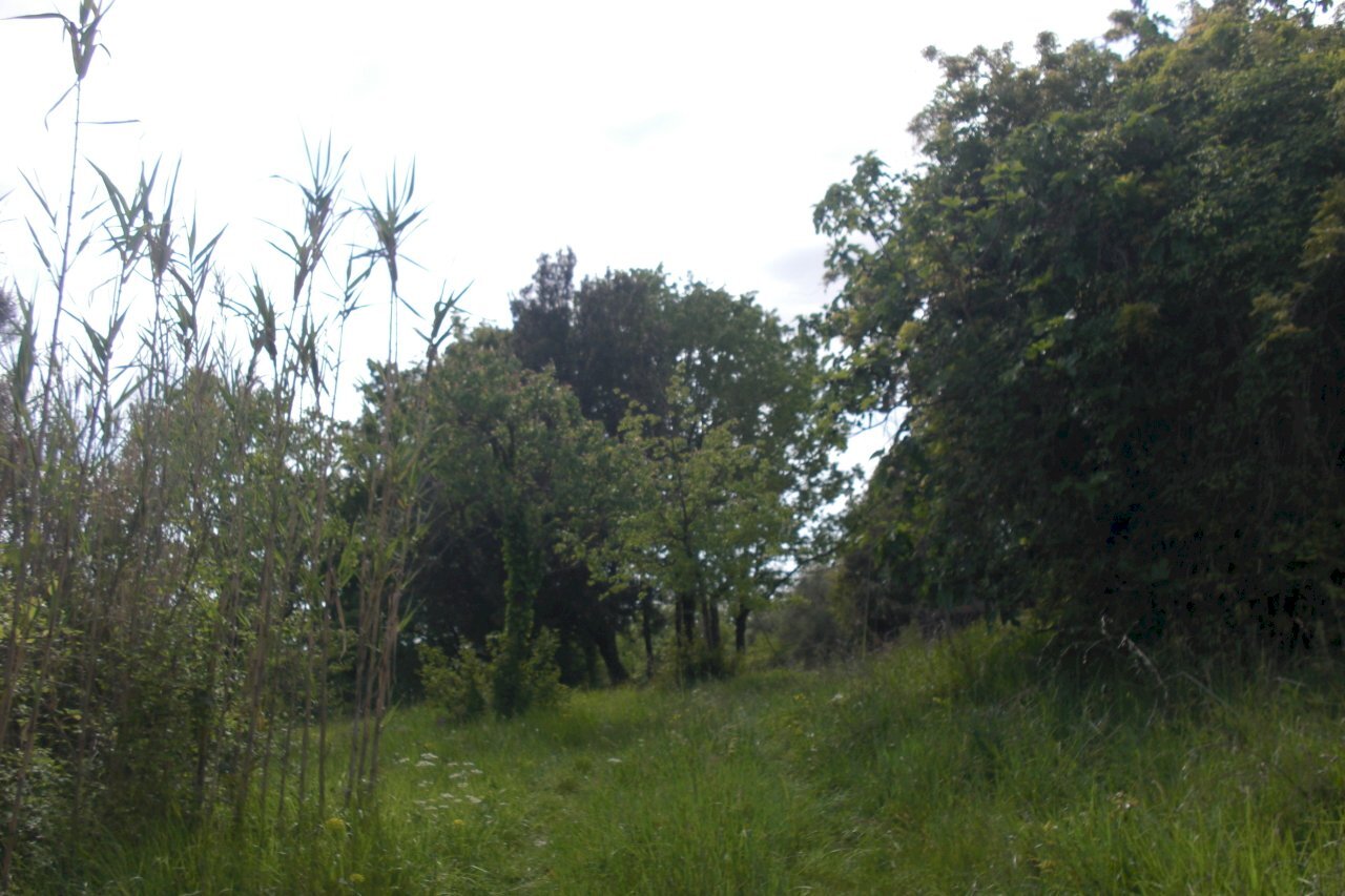 vista - Agricultural land Casciana Terme Lari - photo 1