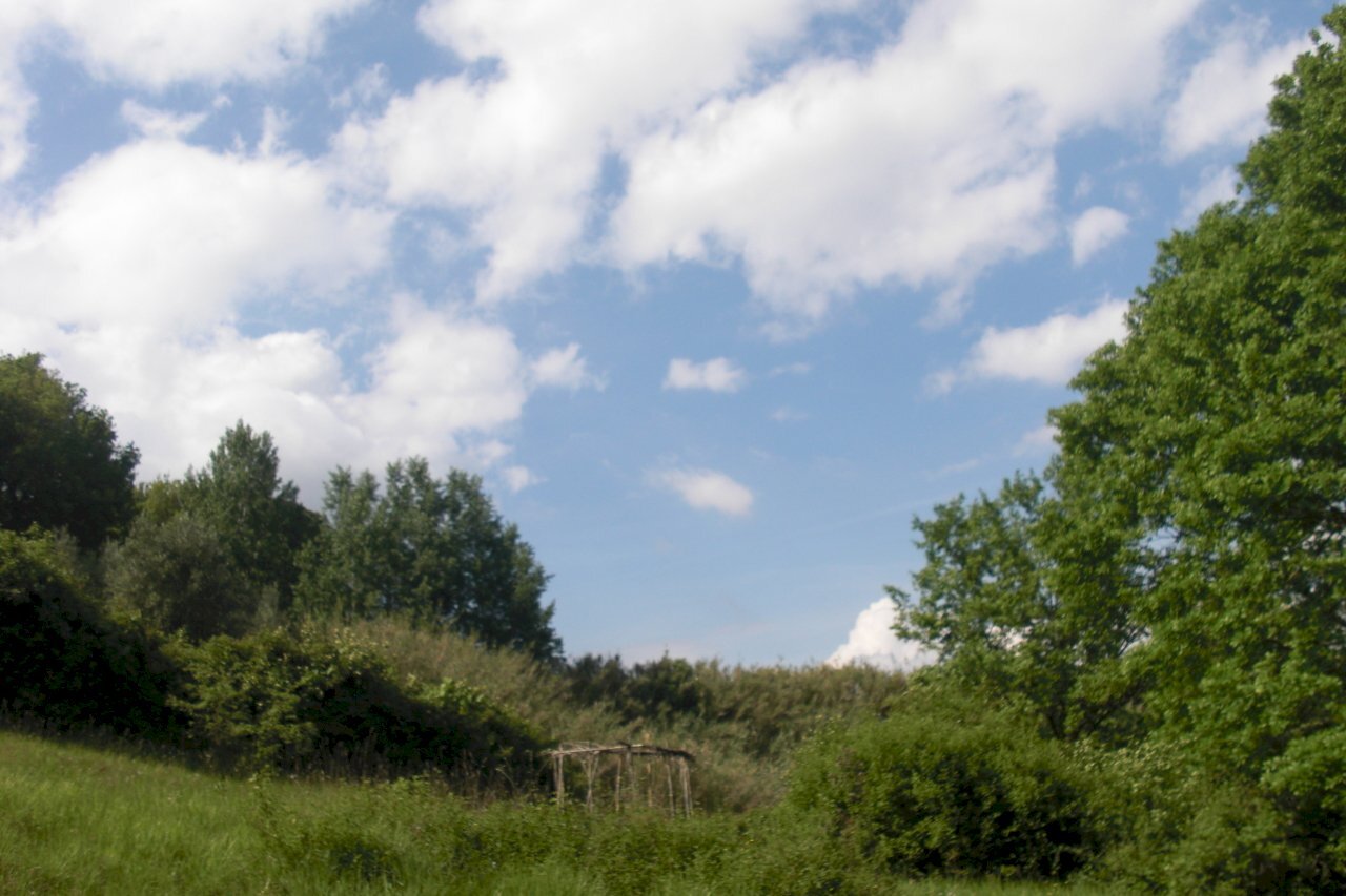vista - Agricultural land Casciana Terme Lari - photo 2