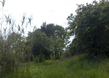 vista - Agricultural land Casciana Terme Lari - photo 1