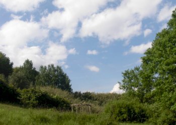 vista - Agricultural land Casciana Terme Lari - photo 2