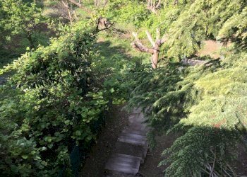 giardino - Rustico Pisa - foto 3