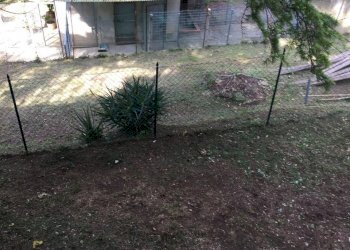 annesso - Rustico Pisa - foto 14